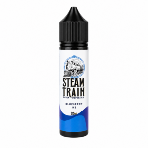Steam Train Disposable Edition Blueberry Ice 20ml